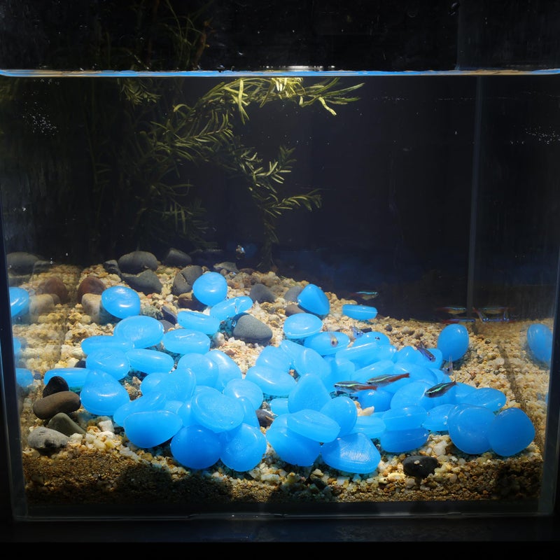 Oubest Glow in The Dark Rocks Glow Pebbles Outdoor Bulk Blue Decorations Stones for Garden Fish Tank Aquarium Walkway Plant Pots (500, Blue) - Image 4